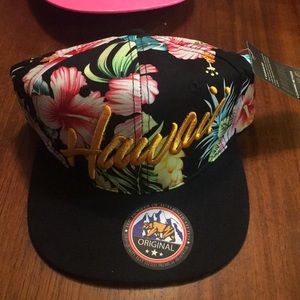 Hawaii baseball cal